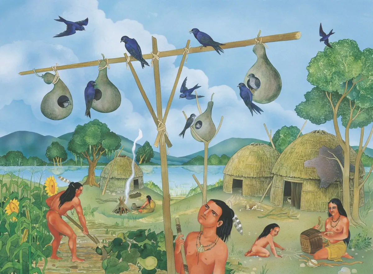 The story behind the 'Magic of Nature'